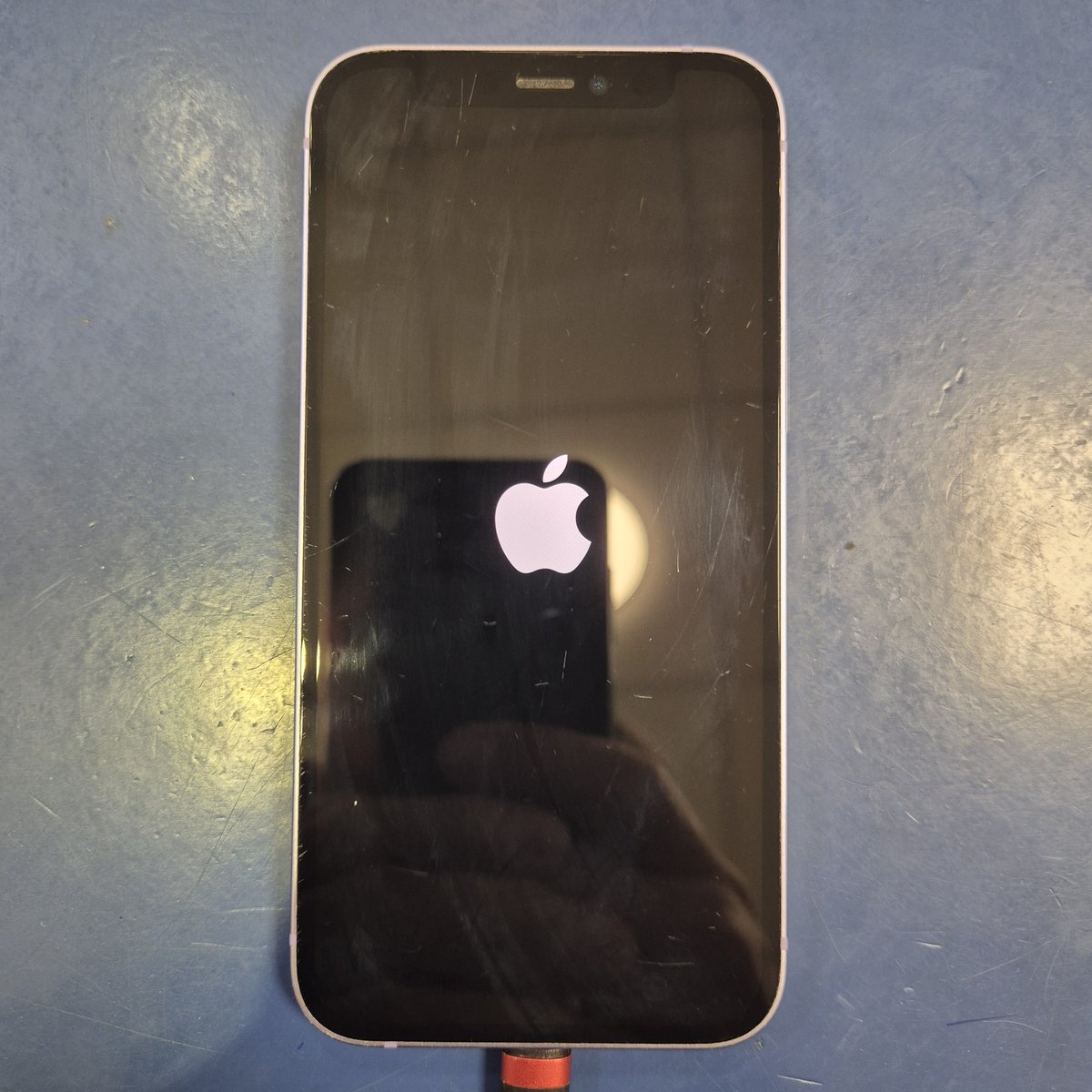 iPhone 12 mini z logo Apple na ekranie — telefon, który się restartuje, przyjęty do serwisu TELFOX Siemiatycze